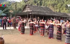 Đón xuân trên dãy Trường Sơn