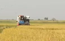 Tín dụng lĩnh vực nông nghiệp tăng