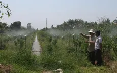 Áp dụng hệ thống tưới tiết kiệm nước để đối phó hạn mặn