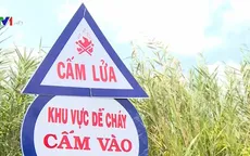 Nhiều cánh rừng cạn nước, nguy cơ xảy ra cháy cao