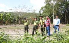 Cảnh báo cháy rừng cấp nguy hiểm tại ĐBSCL