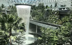 Sân bay Singapore mở cửa khu rừng và thác nước nhân tạo lớn nhất thế giới