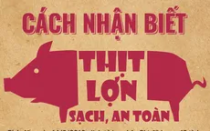 [INFOGRAPHIC] Cách nhận biết thịt lợn sạch, an toàn