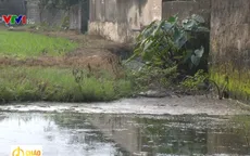 Trang trại chăn nuôi gia súc xả thải bức tử dòng sông ở Hưng Yên
