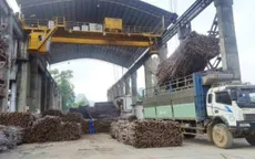 Thiếu nguyên liệu, nhà máy đường kết thúc sớm vụ ép