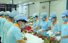 Trái cây lên giá vì Trung Quốc tăng mua