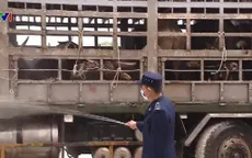 Bộ Nông nghiệp và Phát triển nông thôn kiểm tra công tác phòng chống tả lợn châu Phi