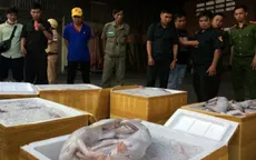 Phát hiện xe khách chở hàng tấn thịt mèo