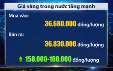 Giá vàng trong nước tăng mạnh