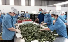 Thành lập 3 trung tâm sau thu hoạch
