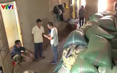 Nông dân Tây Nguyên điêu đứng do ký gửi nông sản