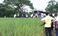 Nông dân Việt sang Thái Lan học kinh nghiệm sản xuất nông nghiệp