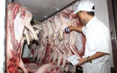 TP.HCM: Lượng lợn về chợ đầu mối sụt giảm kỷ lục
