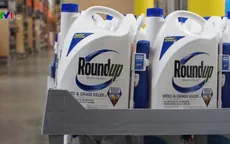 Xem xét ngưng nhập khẩu thuốc trừ cỏ chứa Glyphosate