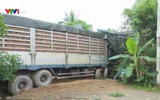 Quảng Trị: Xe container chở gỗ dăm mất lái lao vào nhà dân bên đường