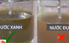 Phân biệt trà giảm cân chính hãng và trà nhái