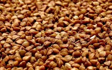 Thực phẩm lành mạnh hàng đầu cho người mắc bệnh thận