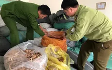Hơn 7 tấn nguyên liệu thuốc bắc không rõ nguồn gốc bị thu giữ