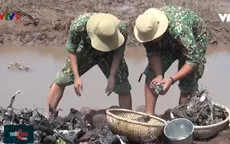 Trục vớt xác máy bay dưới vuông tôm