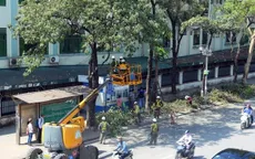 Hà Nội: Cắt sửa hơn 20.000 cây nguy hiểm trước mùa mưa bão