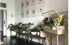 Cải thiện không gian bằng cách đưa thiên nhiên vào nhà