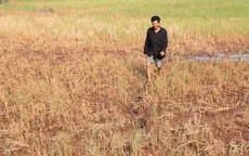 Nguy cơ thiếu nước ngọt sinh hoạt nghiêm trọng vào cao điểm mùa khô