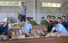 Khẩn trương điều tra mở rộng vụ án vận chuyển trái phép ngà voi