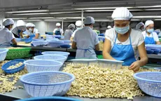 Doanh nghiệp trong nước tiếp tục là điểm sáng trong xuất khẩu