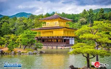 Ngắm cảnh quan "siêu thực" ở Nhật Bản