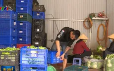 DN thiếu thông tin về việc xuất khẩu chính ngạch sang Trung Quốc
