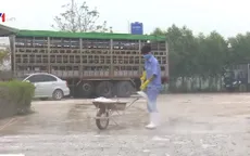 Bắc Giang ngăn chặn dịch tả lợn châu Phi từ gốc