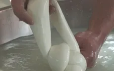 Món phô mai “5 sao” làm từ sữa của những chú trâu được nghe nhạc, massage