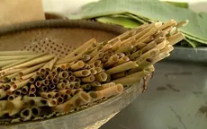 Saigon Co.op không kinh doanh ống hút nhựa từ tháng 5/2019