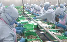 Thủy sản Việt Nam sẽ phải cạnh tranh nhiều hơn với Ấn Độ