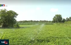 Thích ứng hạn mặn, nông dân mạnh dạn thay đổi mô hình canh tác