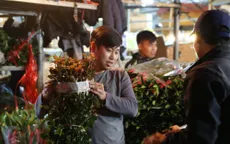 Đêm không ngủ ở chợ hoa nổi tiếng Hà Nội
