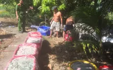 Tiêu hủy 700 kg ruột lợn hôi thối sắp được đưa vào quán nhậu ở miền Tây
