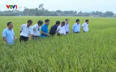 Sơ kết sản xuất cây trồng vụ Đông Xuân các tỉnh duyên hải Nam Trung Bộ và Tây Nguyên
