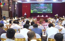 Tăng cường quản lý chất lượng cây giống lâm nghiệp