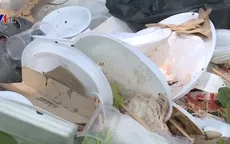Ngập rác sau những bữa tiệc ngoài trời