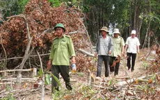 Nguy cơ cháy rừng ở Phú Yên đang ở cấp cực kỳ nguy hiểm