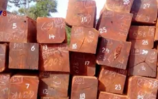 Đắk Nông khởi tố đối tượng bán gỗ “ảo” lấy tiền thật