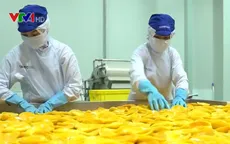 Đẩy mạnh xây dựng hợp tác xã gắn với chuỗi giá trị