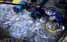 Bứt phá ngoạn mục trong hành trình 60 năm ngành Thủy sản