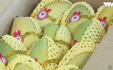 Lô xoài cát Việt Nam đầu tiên chính thức có mặt tại thị trường Mỹ