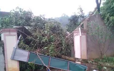 250 nhà bị tốc mái do lốc xoáy ở Nghệ An