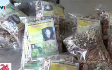 Khi niềm tin vào thuốc gia truyền bị đặt nhầm chỗ