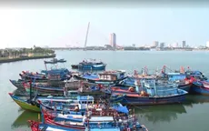 Gấp rút tăng cường nhiều biện pháp khắc phục thẻ vàng thủy sản của EU