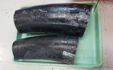 Ngà voi đội lốt tôm hùm qua đường hàng không