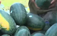 Yêu cầu mới từ thị trường Trung Quốc - Không còn cảnh "trốn trong bao, núp dưới rơm"
